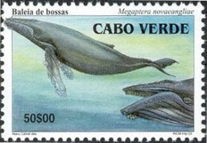 Colnect-2871-855-Humpback-Whale-Megaptera-novaeangliae.jpg