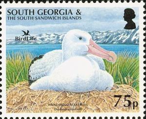 Colnect-4571-631-Wandering-Albatross-Diomedea-exulans.jpg