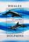 Colnect-6233-658-Whales-and-dolphins.jpg