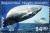 Colnect-3140-279-Humpback-whale-Megaptera-novaeangliae.jpg