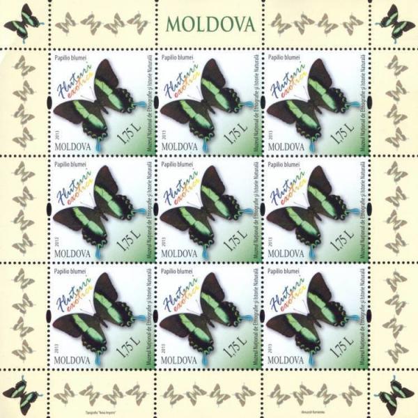 Colnect-1659-434-Green-Swallowtail-Papilio-blumei.jpg