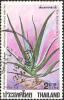 Colnect-2521-378-Aloe-barbadensis.jpg