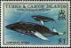 Colnect-1764-439-Humpback-Whale-Megaptera-novaeangliae.jpg