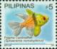 Colnect-2914-144-Pyjama-Cardinalfish-Sphaeramia-nematoptera.jpg