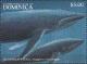 Colnect-3226-281-Humpback-whale-Megaptera-novaeangliae.jpg