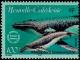 Colnect-857-223-Humpback-Whale-Megaptera-novaeangliae.jpg