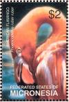 Colnect-1620-601-American-Flamingo-Phoenicopterus-ruber.jpg