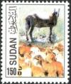 Colnect-1698-759-Domestic-Sheep-Ovis-ammon-aries-Donkey-Equus-asinus-asin.jpg