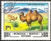 Colnect-1947-869-Bactrian-Camel-Camelus-bactrianus-in-Gobi-Desert.jpg