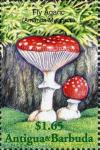 Colnect-2031-912-Amanita-muscaria.jpg