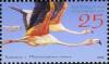 Colnect-2758-553-American-Flamingo-Phoenicopterus-ruber.jpg