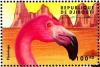 Colnect-3769-068-American-Flamingo-Phoenicopterus-ruber.jpg