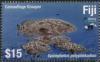 Colnect-6257-112-Camouflage-Grouper.jpg