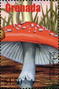 Colnect-3076-994-Amanita-muscaria.jpg