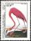 Colnect-1174-807-American-Flamingo-Phoenicopterus-ruber.jpg