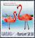 Colnect-3635-076-American-Flamingo-Phoenicopterus-ruber.jpg