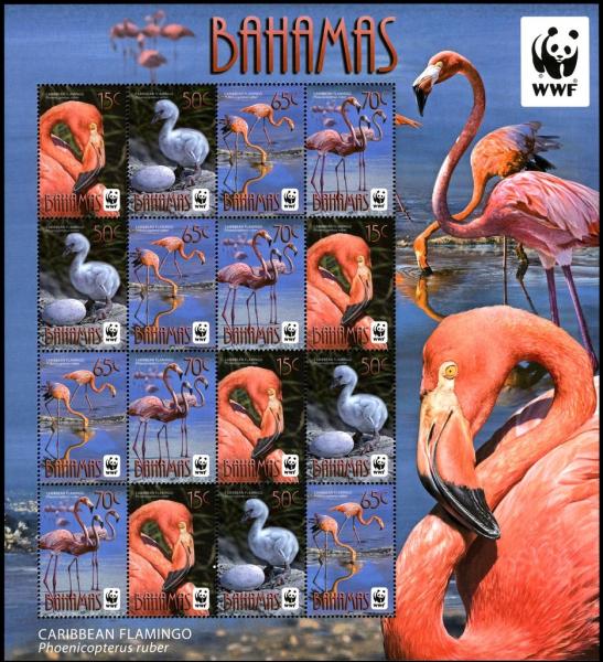 Colnect-2355-497-American-Flamingo-Phoenicopterus-ruber.jpg