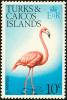 Colnect-1764-325-American-Flamingo-Phoenicopterus-ruber.jpg