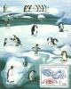 Colnect-2445-550-Art-of-Stamps-engraving---Penguins.jpg