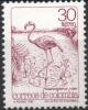 Colnect-5800-496-American-Flamingo-Phoenicopterus-ruber.jpg