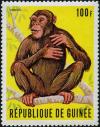 Colnect-2035-560-Chimpanzee-Pan-troglodytes.jpg