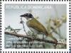 Colnect-3167-272-Black-crowned-Tanager-Phaenicophilus-palmarum-.jpg