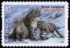 Colnect-4536-012-Snow-Leopard-Panthera-uncia-syn-Uncia-uncia.jpg
