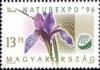 Colnect-574-268-Sibirean-Iris-Iris-sibirica.jpg