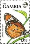 Colnect-5778-799-Danaus-chrysippus.jpg