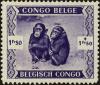 Colnect-5790-992-Chimpanzee-Pan-troglodytes.jpg
