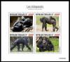 Colnect-7220-431-Chimpanzee-Pan-troglodytes.jpg