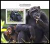 Colnect-7220-432-Chimpanzee-Pan-troglodytes.jpg
