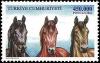 Colnect-975-842-Black-Brown-Red-Brown-and-Dark-Brown-Horse-Equus-ferus-cab.jpg