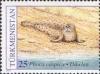 Stamps_of_Turkmenistan%2C_1993_-_Caspian_seal_%28Phoca_caspica%29_on_sand%2C_25.jpg
