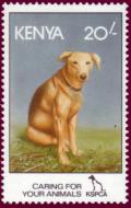 Colnect-1331-855-Dog-Canis-lupus-familiaris.jpg