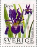 Colnect-164-903-Siberian-Iris-Iris-sibirica.jpg