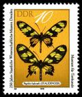 Colnect-1980-350-Hahnel-s-Amazonian-Swallowtail-Papilio-hahneli-.jpg
