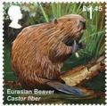 Colnect-5038-264-Eurasian-Beaver-Castor-fiber.jpg