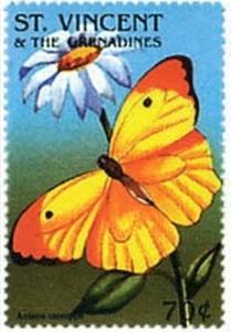 Colnect-2549-217-Orange-tipped-Angled-sulphur-Anteos-menippe.jpg