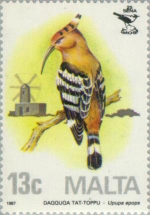 Colnect-130-931-Eurasian-Hoopoe-Upupa-epops.jpg