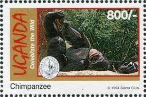 Colnect-1713-475-Chimpanzee-Pan-troglodytes.jpg