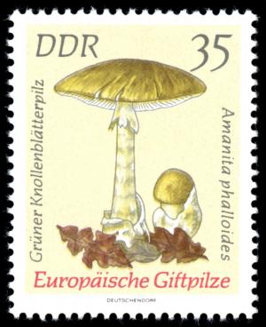 Colnect-1979-229-Green-amanita-Amanita-phalloides.jpg