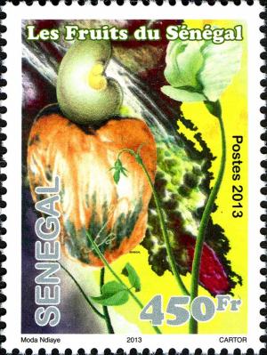 Colnect-2333-917-Cashew-Anacardium-occidentale.jpg