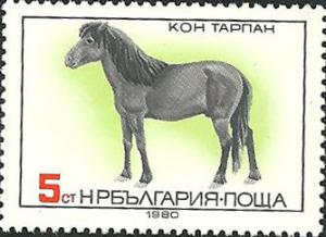 Colnect-2798-340-Tarpan-Equus-ferus-ferus.jpg
