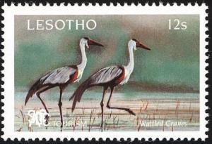 Colnect-3006-040-Wattled-Crane-Bugeranus-carunculatus.jpg