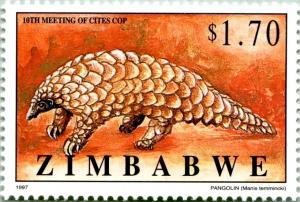 Colnect-3124-890-Ground-Pangolin-Manis-temmincki.jpg