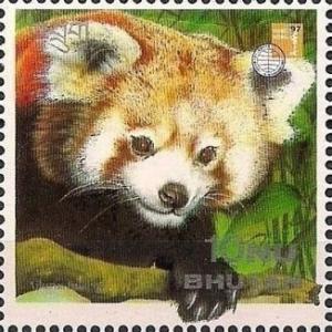 Colnect-3381-555-Red-Panda-Ailurus-fulgens.jpg