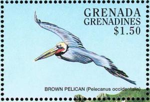 Colnect-4213-467-Brown-Pelican---Pelecanus-ocidentalis.jpg