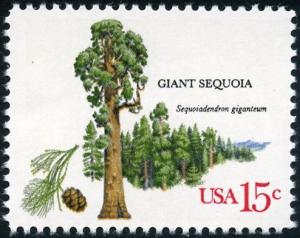 Colnect-4845-812-American-TreesGiant-Sequoia.jpg