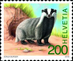 Colnect-4959-332-Eurasian-Badger-Meles-meles.jpg